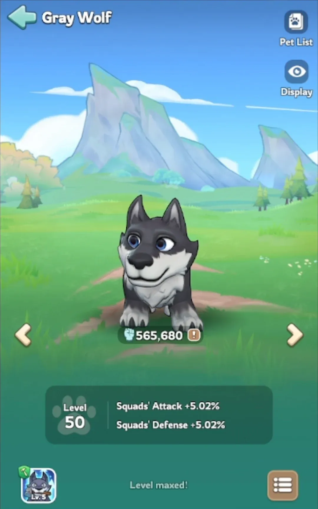 Kingshot Gray Wolf pet screen at Level 50 showing Squads' Attack +5.02% and Squads' Defense +5.02% with the note Level maxed